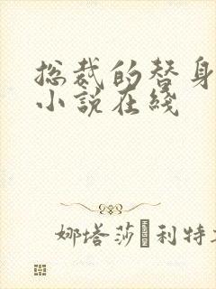 总裁的替身前妻小说在线封面