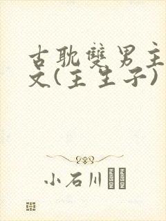 古耽双男主生子文(主生子)