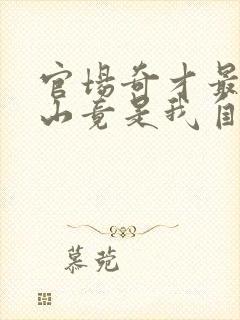 官场奇才最强靠山竟是我自己李霖