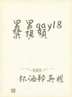 男男gay18禁视频