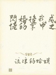 闪婚后我成了大佬的掌中之物
