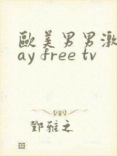 欧美男男激情gay free tv
