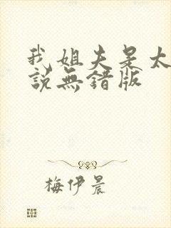 我姐夫是太子小说无错版