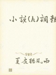 小说(h)调教