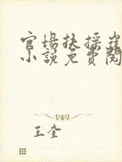 官场扶摇崔向东小说免费阅读