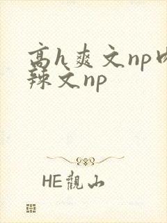 高h爽文np肉辣文np