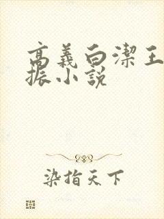 高义白洁王申赵振小说