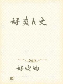 好爽h文