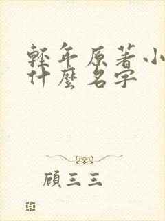 轻年原著小说叫什么名字