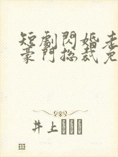 短剧闪婚老公是豪门总裁免费观看封面