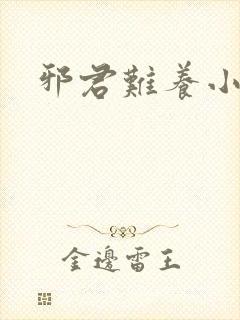 邪君难养小魔妃封面