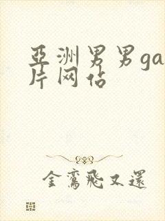 亚洲男男gay片网站
