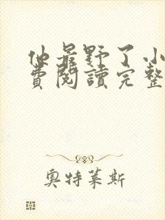 他最野了小说免费阅读完整版无弹窗