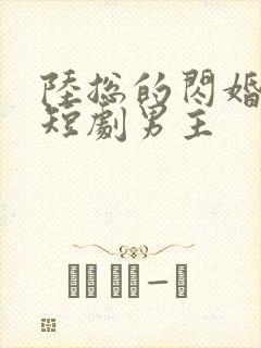 陆总的闪婚甜妻短剧男主