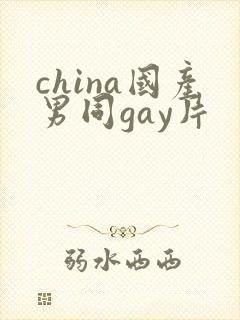 china国产男同gay片