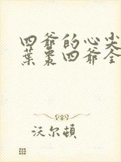 四爷的心尖宠妃叶枣四爷全文免费阅读小说封面