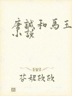 唐诚和马玉婷的小说