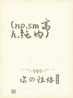 (np,sm高h,纯肉)