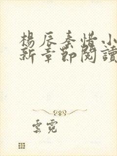 杨辰秦惜小说最新章节阅读