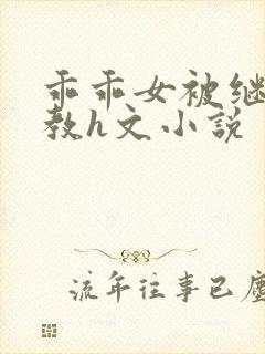 乖乖女被继夫调教h文小说封面