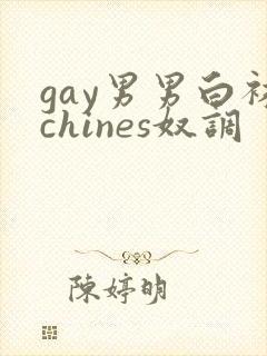 gay男男白袜chines奴调封面