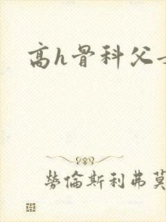 高h骨科父女封面