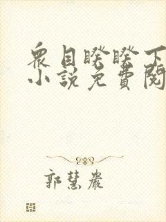 众目睽睽下的事小说免费阅读封面