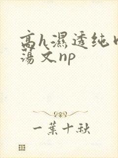 高h湿透纯肉放荡文np