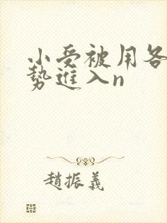 小受被用各种姿势进入n