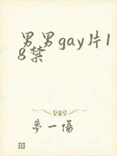 男男gay片18禁封面