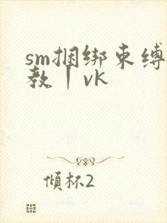 sm捆绑束缚调教丨vk封面