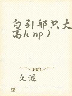 勾引那只大鸟(高h np )