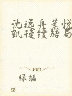 沈逸舟叶悦琳江凯后续结局封面