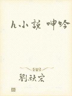 h小说 呻吟