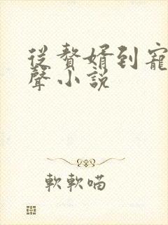 从赘婿到宠臣有声小说