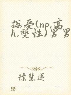 总受(np,高h,双性)男男封面