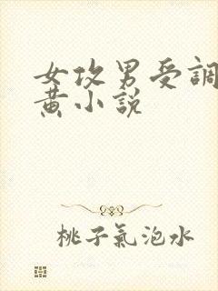 女攻男受调教高黄小说