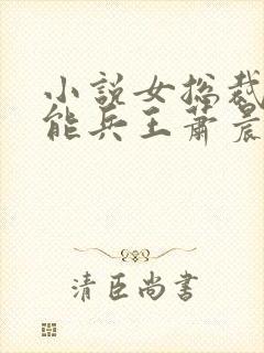 小说女总裁的全能兵王萧晨