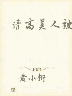 清高美人被蹂躏
