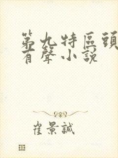 第九特区头陀渊有声小说封面