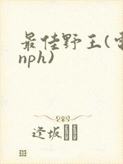 最佳野王(电竞nph)