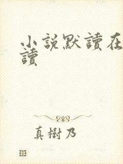 小说默读在线阅读