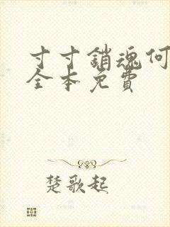 寸寸销魂何生祥全本免费