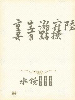 重生溺宠陆少甜妻有点撩