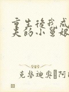 重生后我成了前夫的小舅娘