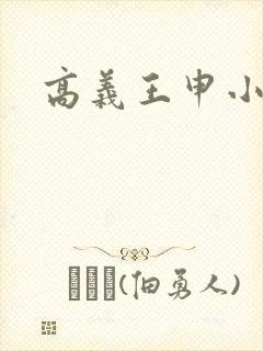 高义王申小说