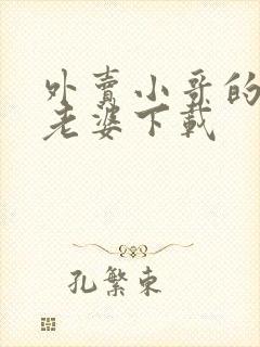 外卖小哥的总裁老婆下载