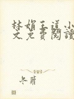 林娟王道小说全文免费阅读