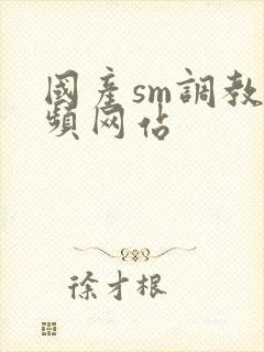国产sm调教视频网站