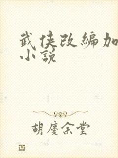 武侠改编加料版小说